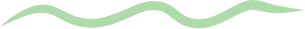 Path